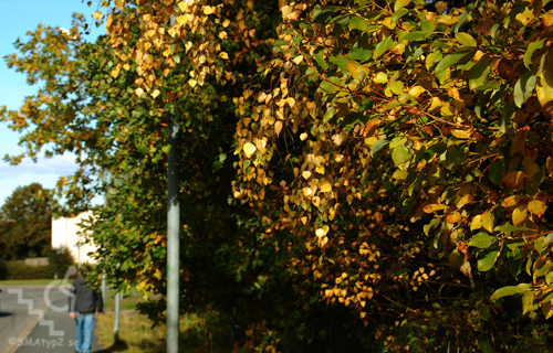 dsc_00094