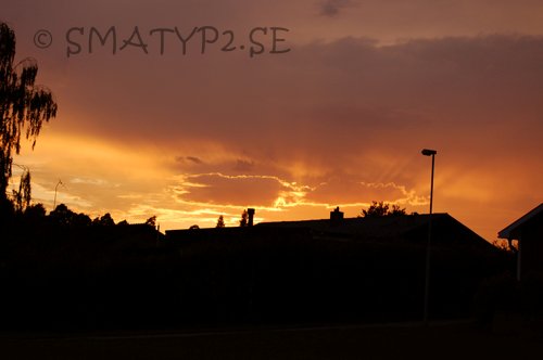 dsc_01553